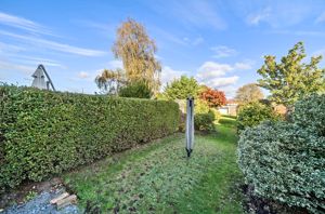 Rear garden- click for photo gallery